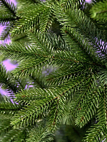 Ель CRYSTAL TREES ПАРИЖСКАЯ НОЧЬ 180 см. KP64180
